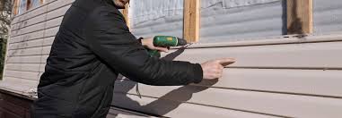 Best Custom Siding Design  in Loves Park, IL